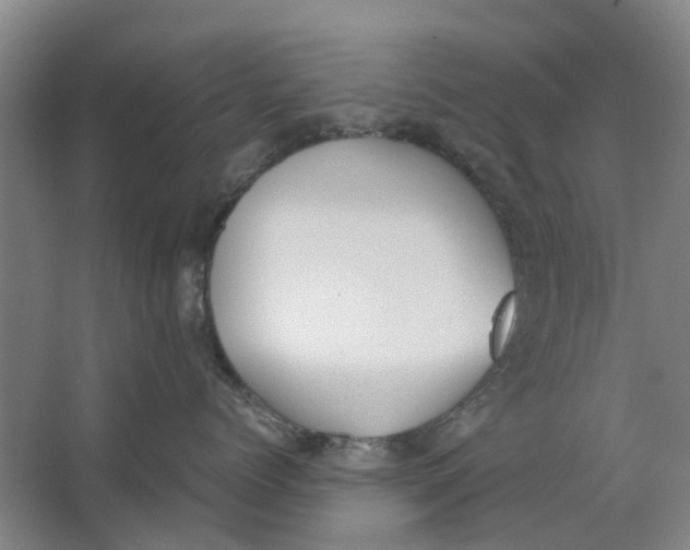 X0000062870768200601271556