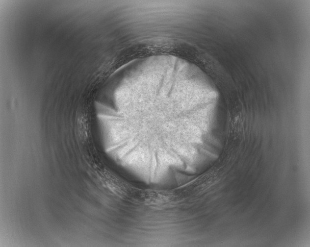 X0000062870772200601271555