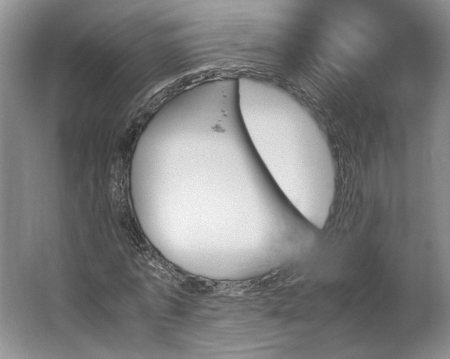 X0000062870773200601271555