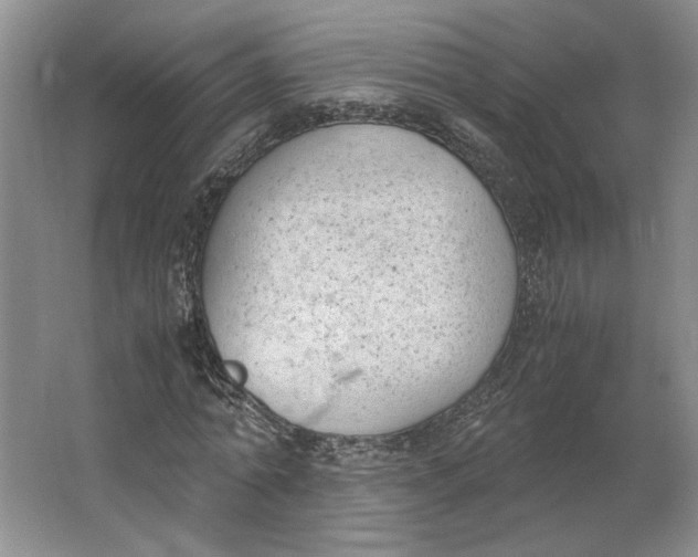 X0000062870774200601271555