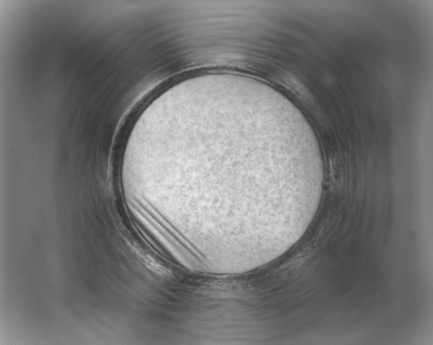 X0000062870780200601271555