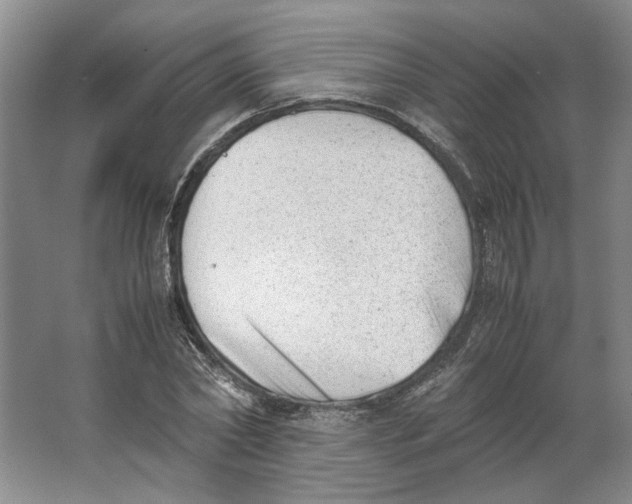 X0000062870782200601271555