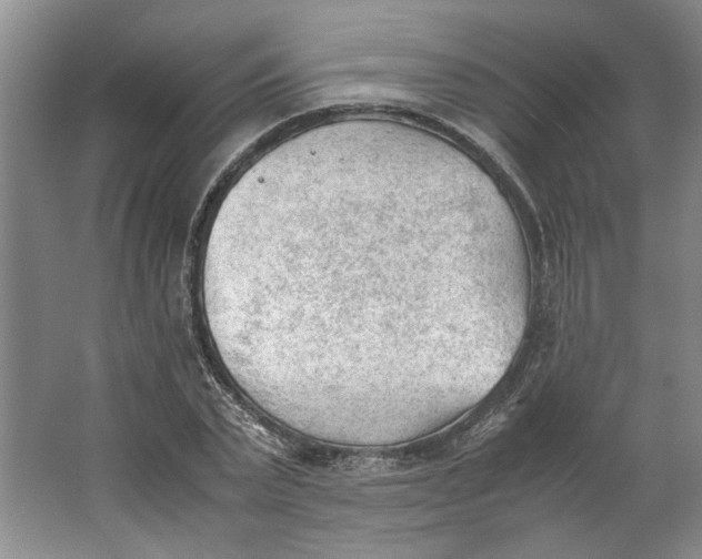 X0000062870783200601271555