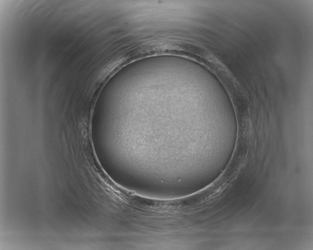 X0000062870785200601271555