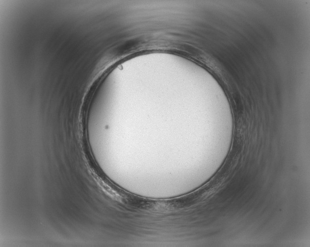 X0000062870787200601271555