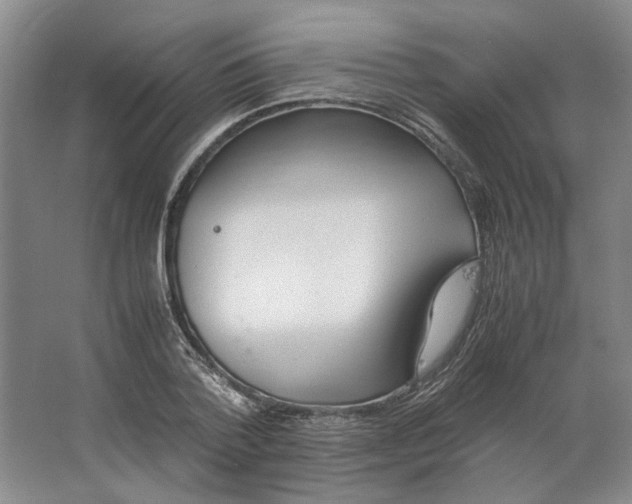 X0000062870788200601271554