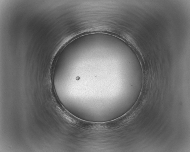 X0000062870789200601271554