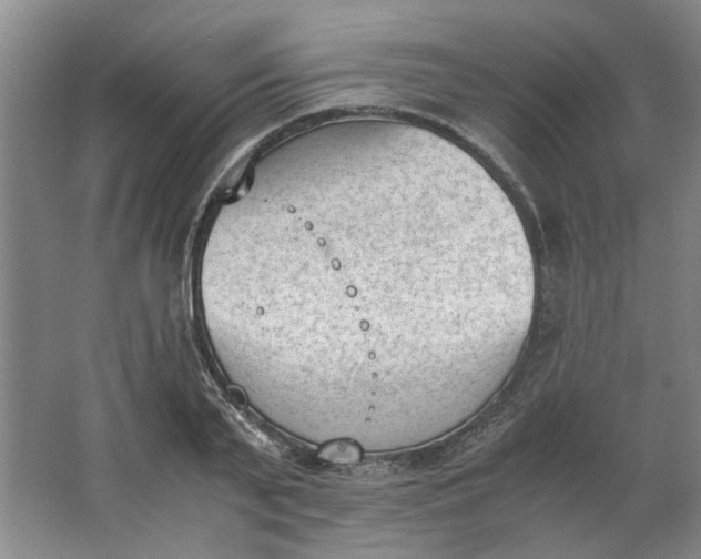 X0000062870791200601271554