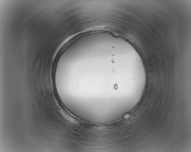 X0000062870792200601271554