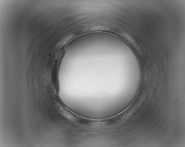 X0000062870793200601271554