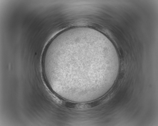 X0000062870795200601271554