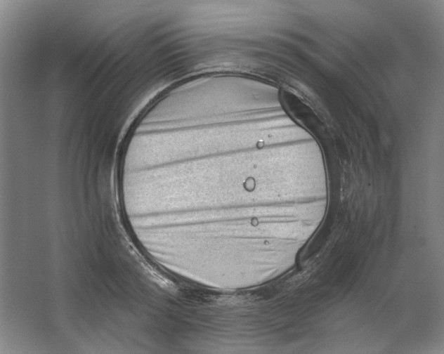 X0000062870796200601271554