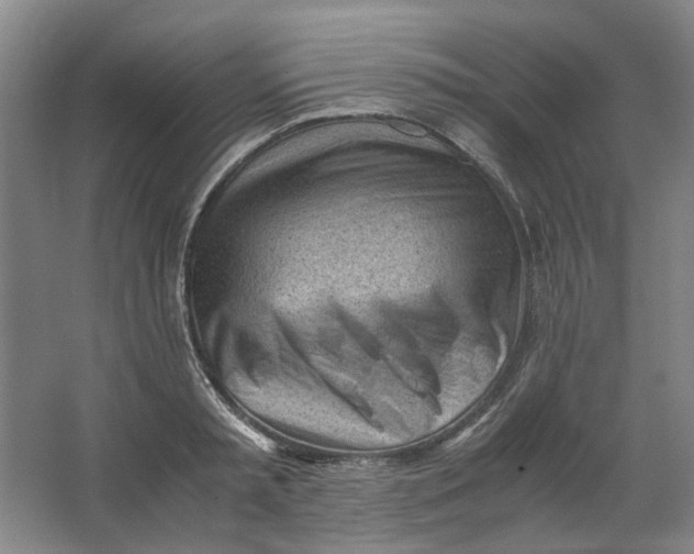 X0000062870797200601271554