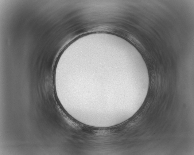 X0000062870800200601271554