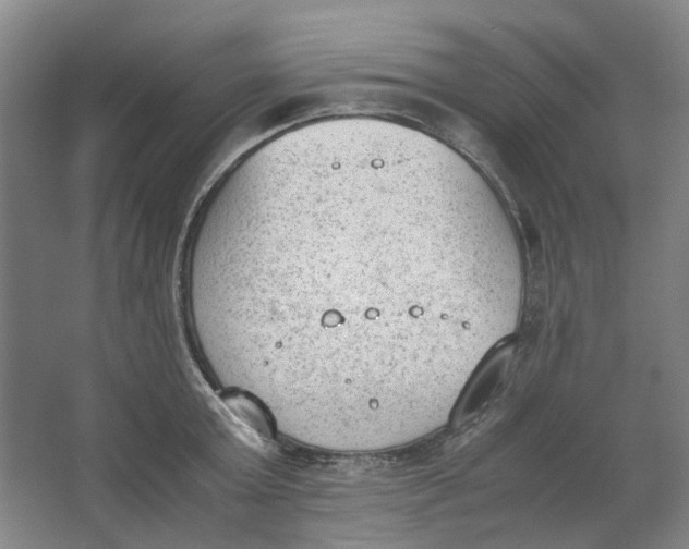 X0000062870803200601271554