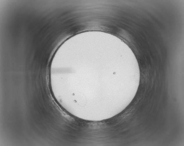 X0000062870804200601271554