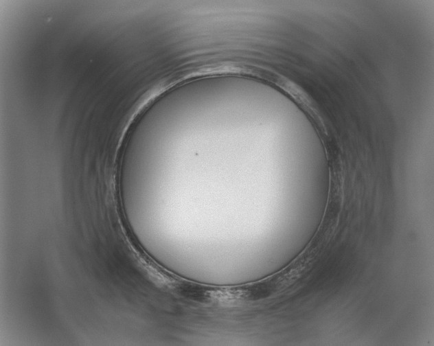 X0000062870805200601271554