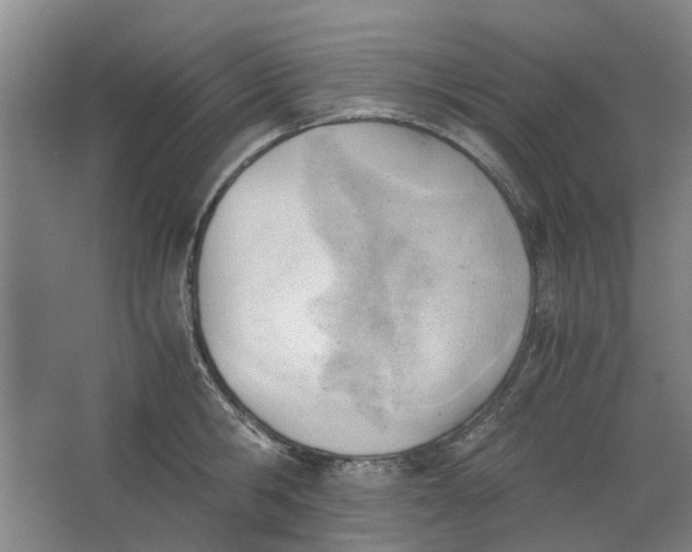 X0000062870806200601271554