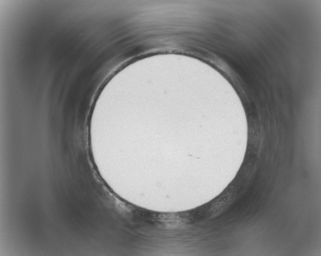 X0000062870807200601271554