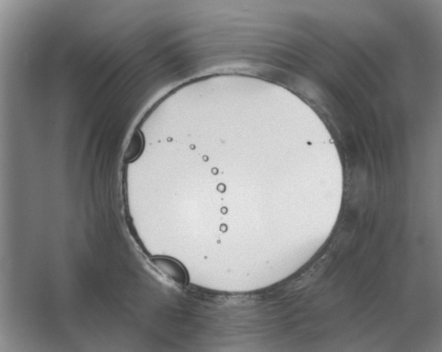 X0000062870808200601271554