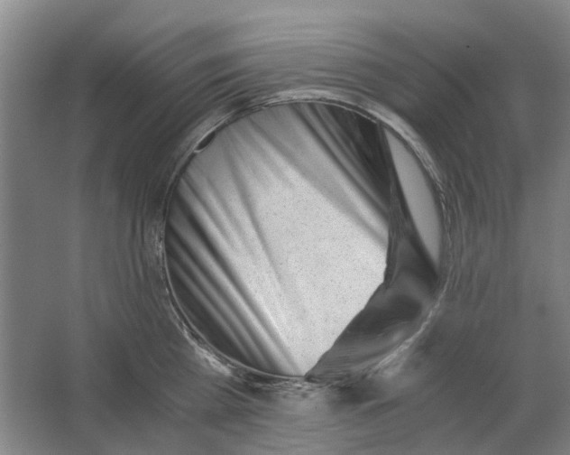 X0000062870809200601271554