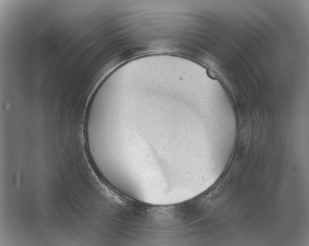 X0000062870810200601271554