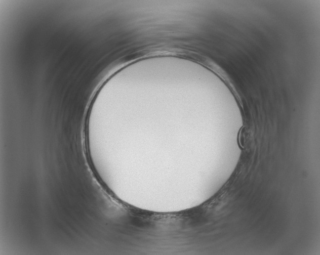 X0000062870811200601271554