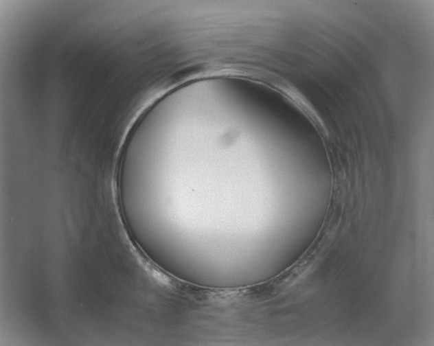 X0000062870813200601271554