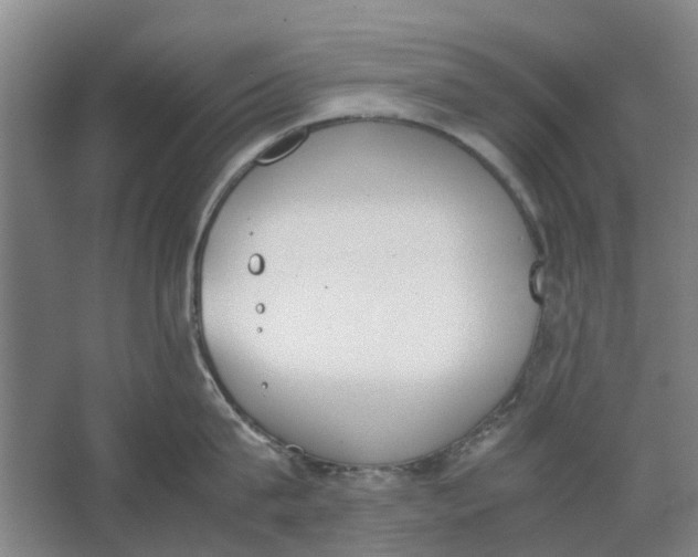 X0000062870815200601271554