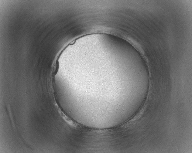 X0000062870816200601271554