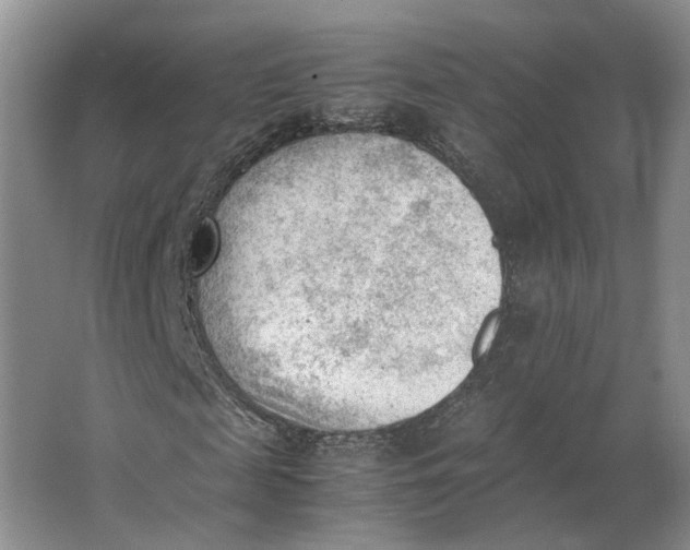 X0000062870817200601271553