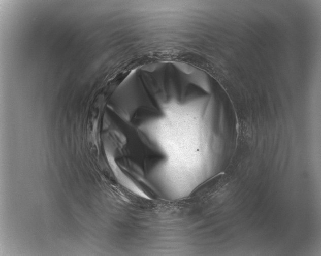 X0000062870818200601271553