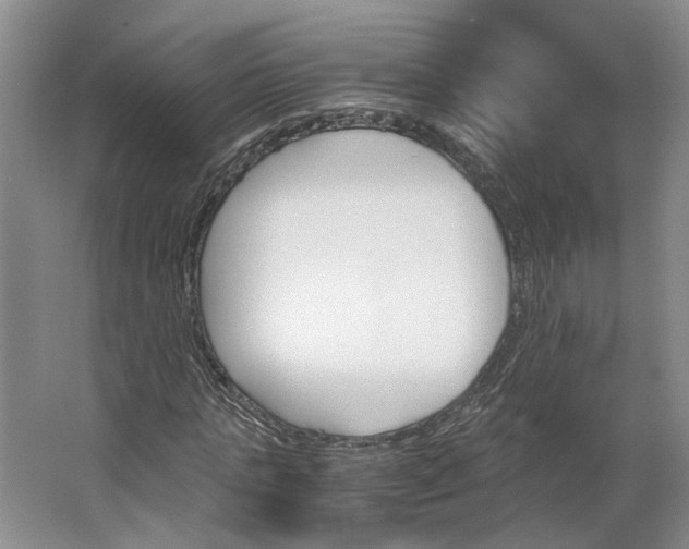 X0000062870821200601271553