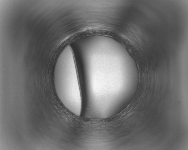 X0000062870822200601271553