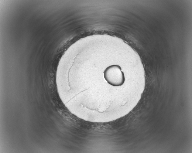 X0000062870824200601271553