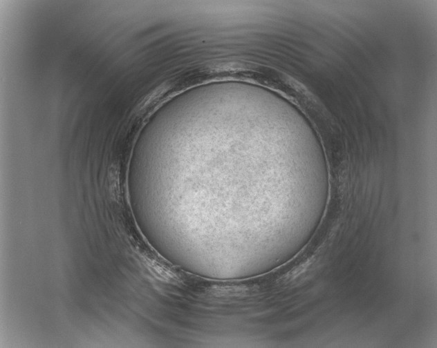 X0000062870825200601271553