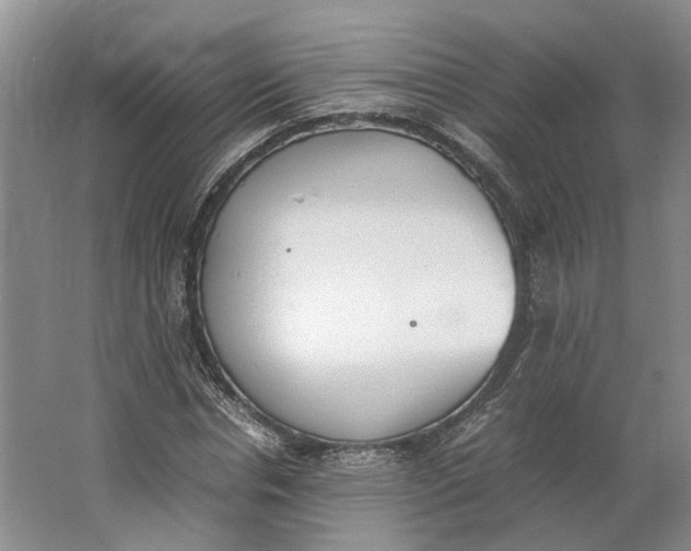 X0000062870826200601271553