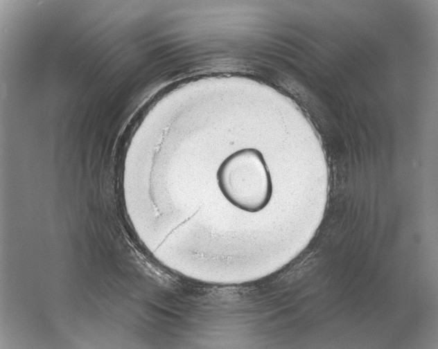 X0000062870828200601271553