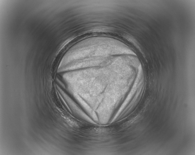 X0000062870829200601271553