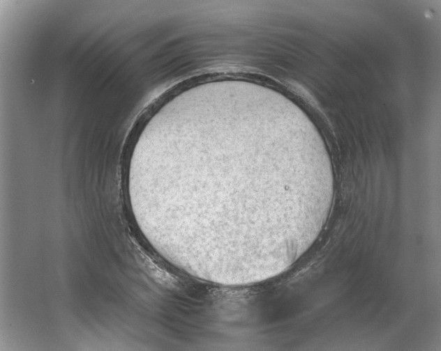 X0000062870831200601271553