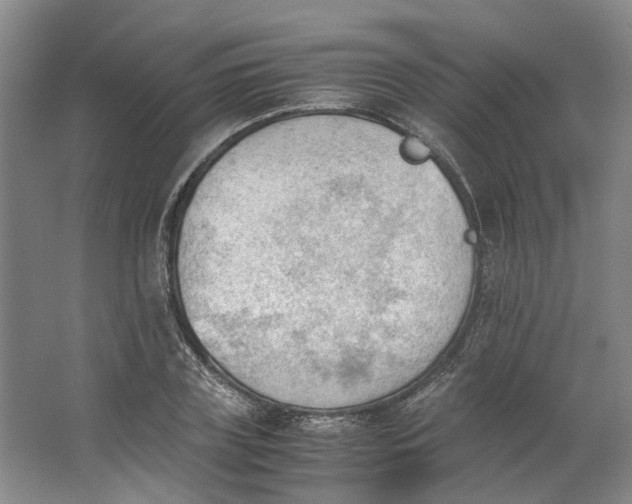 X0000062870835200601271554