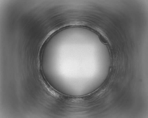 X0000062870837200601271554