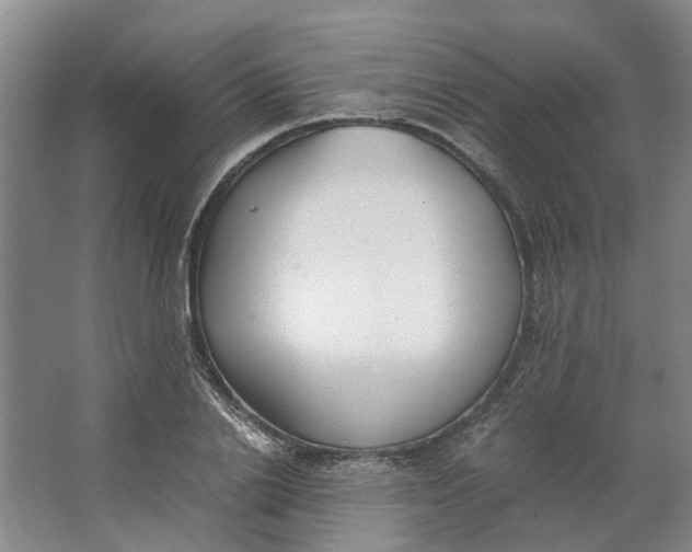 X0000062870838200601271554