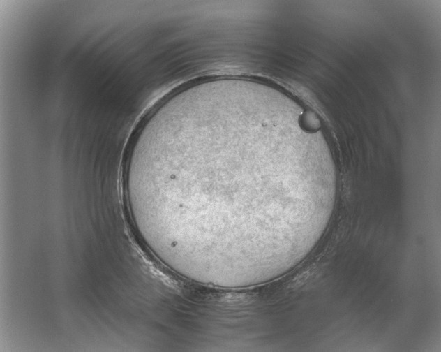 X0000062870839200601271554