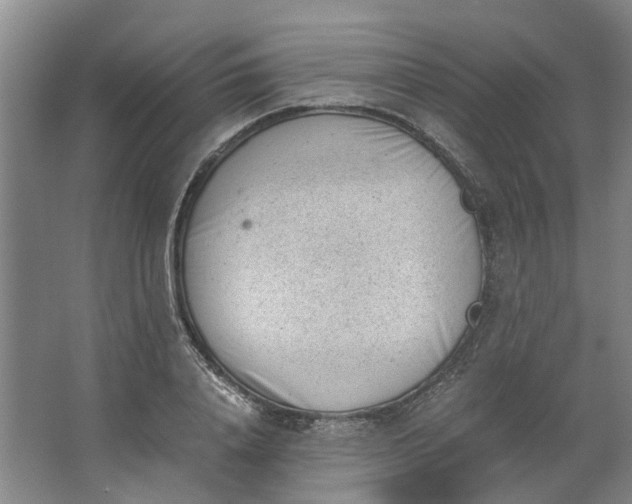 X0000062870840200601271554