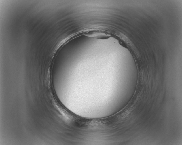 X0000062870842200601271554