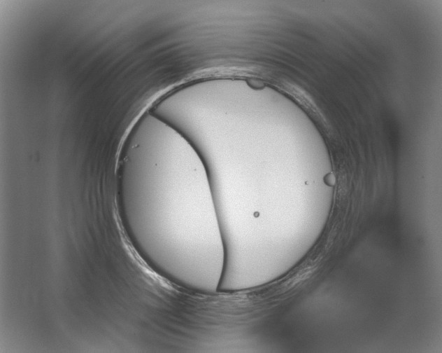 X0000062870844200601271554