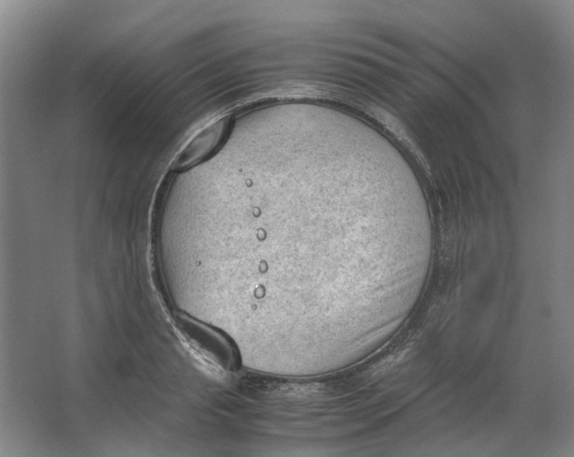 X0000062870845200601271554