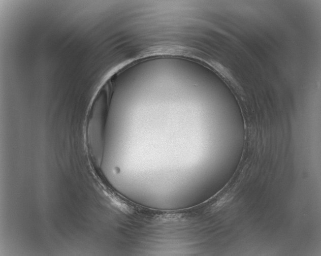 X0000062870846200601271554