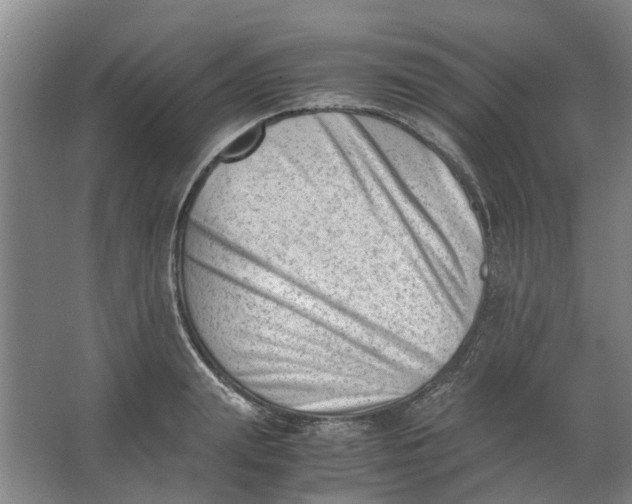 X0000062870847200601271554